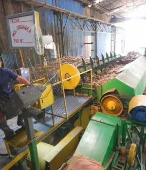 Indústria Sucroalcooleira