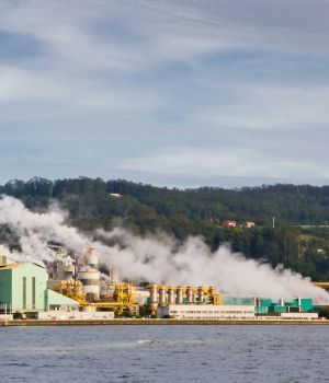 Indústria papel e celulose