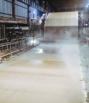 Indústria papel e celulose