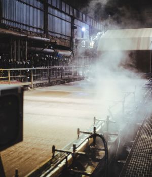 Indústria papel e celulose